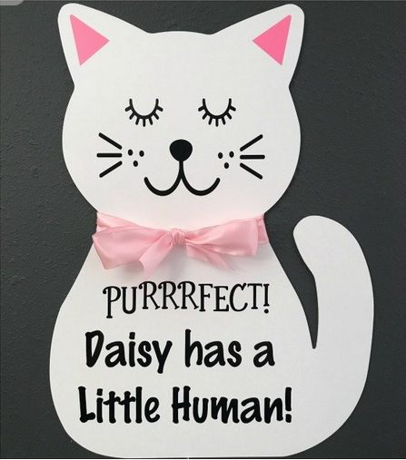 catSign