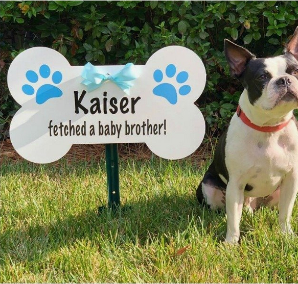 dogSign